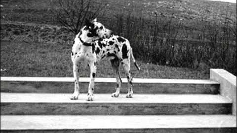 Inheritance - Returning to the Villa (2/3) - POV | PBS