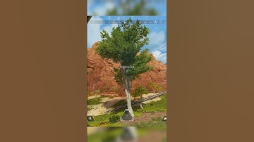 Apex Players Have Found A New Way to Cheat The Ranked System #apexlegends #shorts