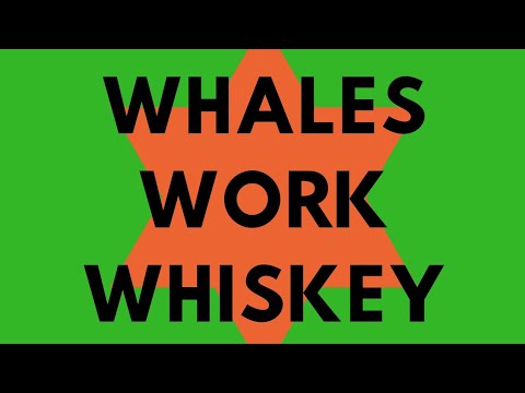 whale-watching,-work-&-whiskey