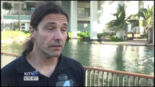 KITV News - Dolphin Quest Oahu Lung Study - Overview Groundbreaking Dolphin Science At Dolphin Quest Oahu