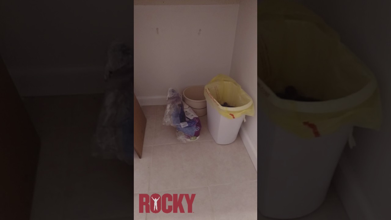 No more toilet paper