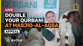 Double your Qurbani at Masjid Al-Aqsa! | Watan UK