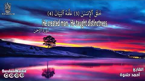 ((Surah Ar-Rahman))___سورة الرحمن من القران الكريم تلاوة هادئة 🌺 بدون حقوق الطبع والنشر