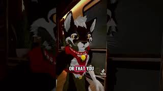Or just tag them in the comments too. ^^ #furry #furries #vrchat #friends #freaky