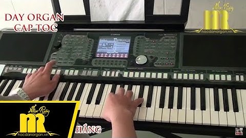 Học Đàn Organ Cấp Tốc TPHCM - PHƯỢNG BUỒN - Trung Tâm Nhạc Rừng