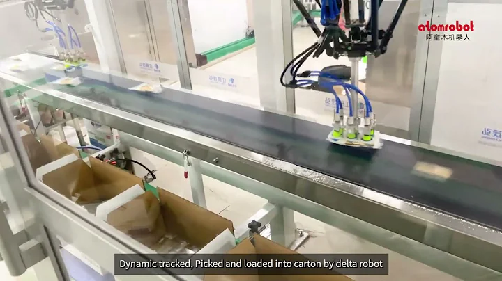 Automatic Case-Packing of Salt Bags with AtomVision System by Delta(Spider) Robot