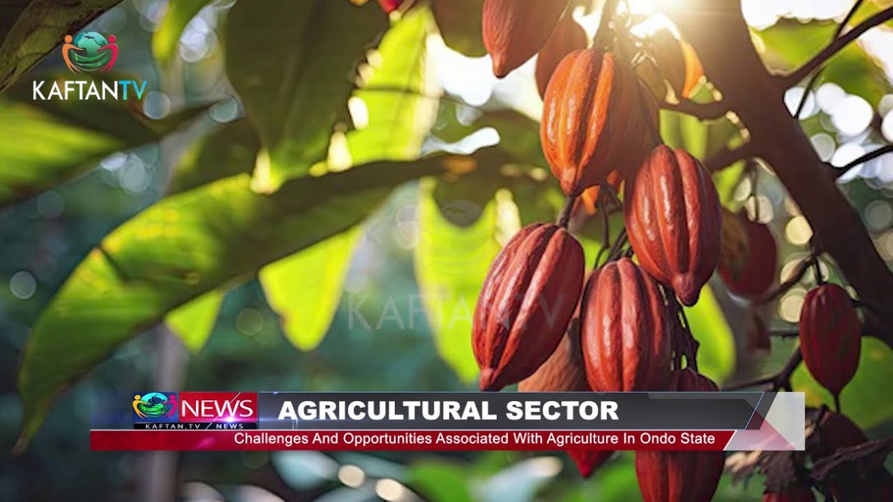 NEWS:  Challenges And Opportunities Associated With Agricultural In Ondo State