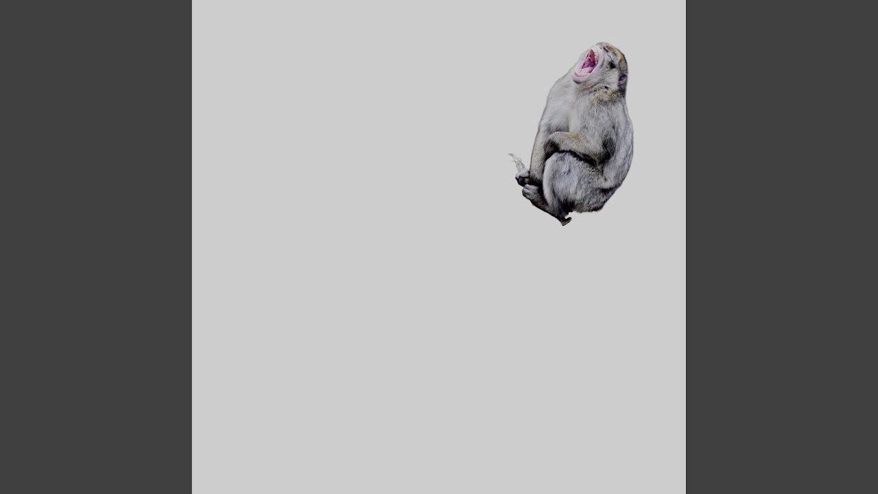 No hope left for wicked little bitches