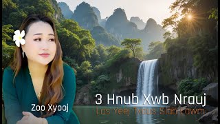 3 Hnub Xwb Nrauj Los Yeej Txaus Siab By Zoo Xyooj