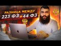 🔴 Основы 223 ФЗ за 15 мин + СТРАХИ и проблемы. Отличие от 44 ФЗ  /  Тендеры по 223 ФЗ  / Закупки 223