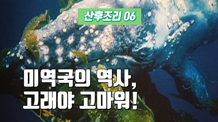 출산 후, 미역국 왜 하필 미역국인가요??? [산후조리 06]