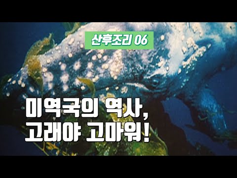 출산 후, 미역국 왜 하필 미역국인가요??? [산후조리 06]