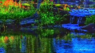 Welcome to our Natural Ponds Lakes and Streams,  designed by Biologists.  Built by nature.