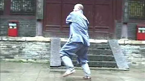 Shaolin Luo Han Pu Shen Shi Ba Shou - Arhat Protec...