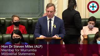 Qld Deputy Premier Steven Miles reassures the parliament that George Christensen is not a horse