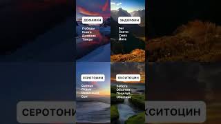 Сохрани и применяй
