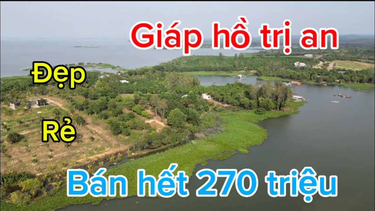 Mùng 1 Tết 2026 khai Xuân lô đất giáp lòng hồ trị an mát mẻ yên tỉnh cảnh đẹp đồng Nai 