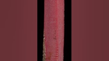 The process of burning the red rubber ring! #object