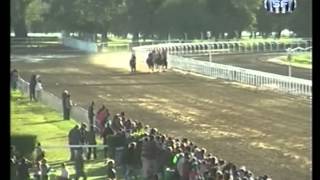 05-09-14 - TURF
