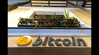 Building Back the Trust in Bitcoin