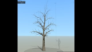 SpeedTree Cinema 8 : Basic 2