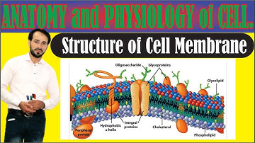 Cell Membrane | Structure and Composition of Cell membrane | Made Easy | Part-1 | Top Lesson4u