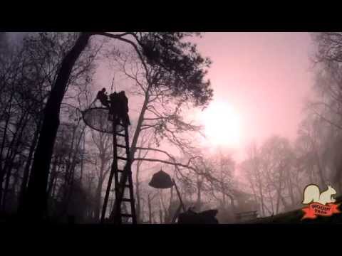 Video-thumbnail van Woody Park
