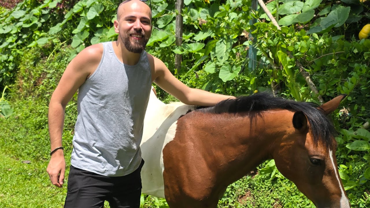 Dia 2/01/2026 juquitiba - SP ❤️🇧🇷🐴🐴 