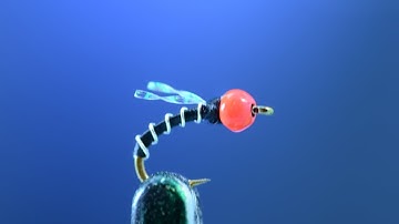 Hot Zebra Midge - Fly tying lesson video tutorial by Curtis Fry