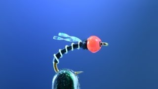 Hot Zebra Midge - Fly tying lesson video tutorial by Curtis Fry