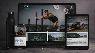 WordPress Developer  WordPress Designer  Custom Word Press Development  Elementor Pro Expert  WooCom