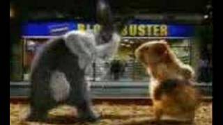 Inul VS Annisa Bahar