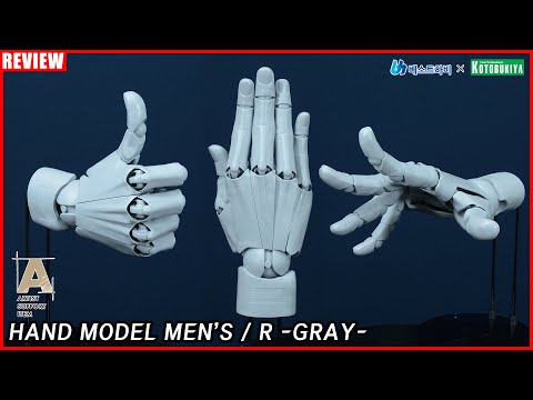 - 코토부키야 아티스트 서포트 아이템 핸드 모델 MEN&amp;#39;S/R - <strong>GRAY</strong> - [REVIEW]
