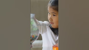 Goldfish REALLY Forget in 3 Seconds?