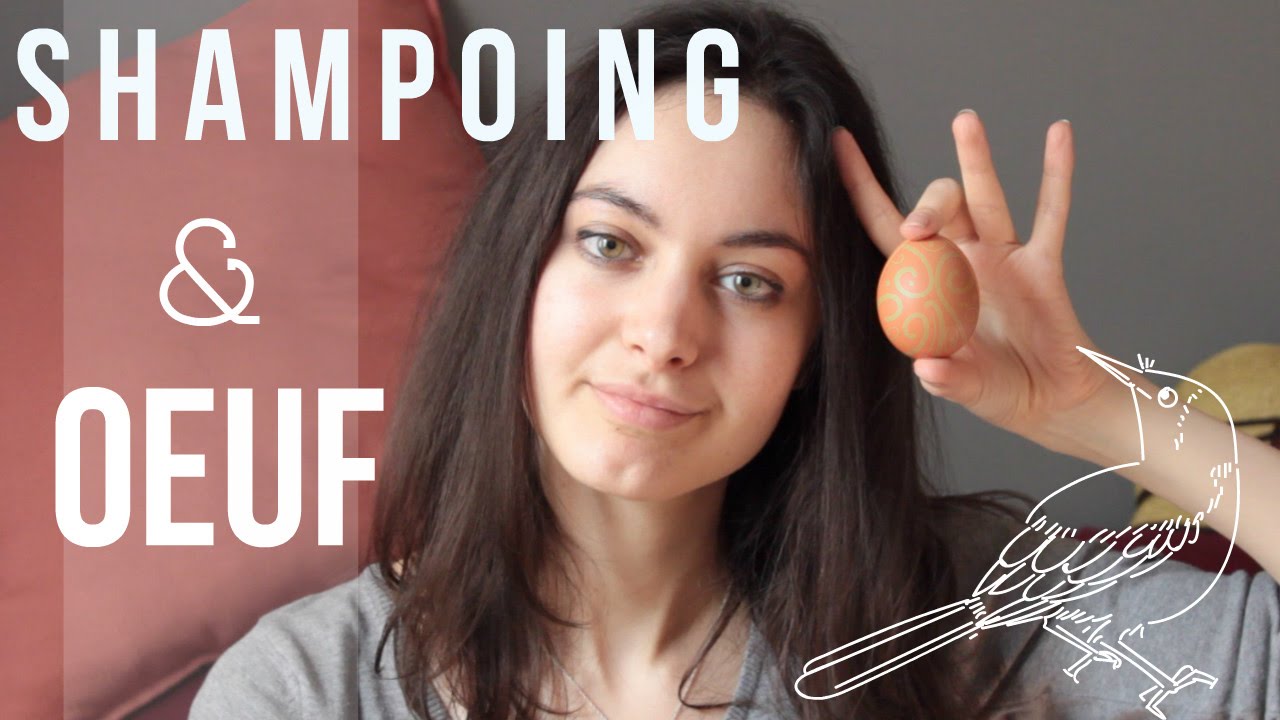 Réussir son shampoing avec un oeuf YouTube — free download
