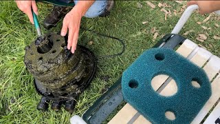Cleaning a Duck Pond Filter & Pump After 2 Weeks! OOPS! | Raising Ducks