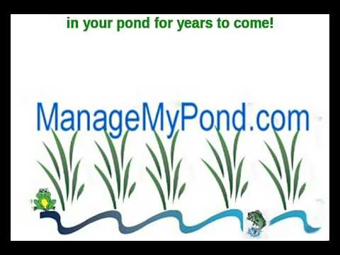 Pond Management How To Manage a Pond with Algae Weeds Muck