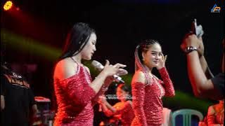 DELIMA - SYAHLA AYU - BLMUSIK LIVE IN KADUAGUNG RANGKASBITUNG