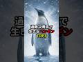 過酷な環境で生きるペンギンTOP3 #世界 #豆知識 #雑学