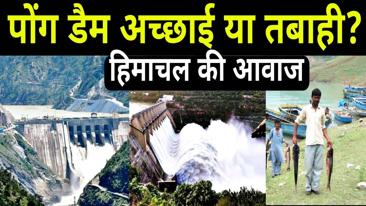 हिमाचल प्रदेश के पोंग डैम का पूरा इतिहास। Pong dam news, pong dam, pong dam water level