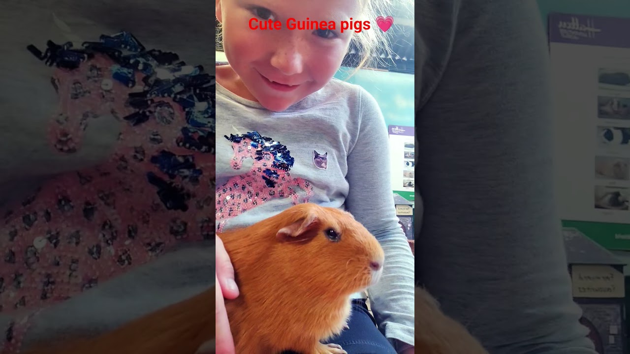 ‪@HattonCountryWorld‬