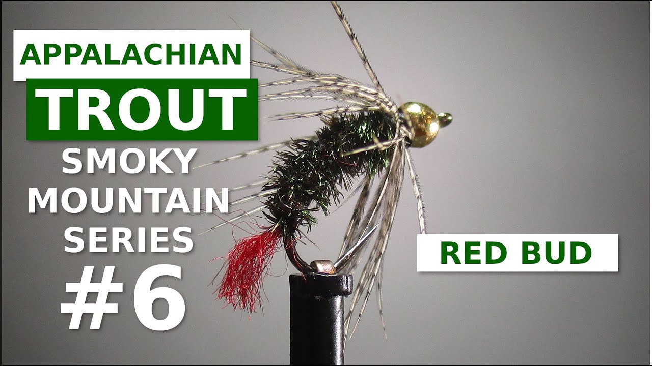 Red Bud (Gray Hackle Peacock Variant) - Great Smoky Mountain Trout Fly Tying