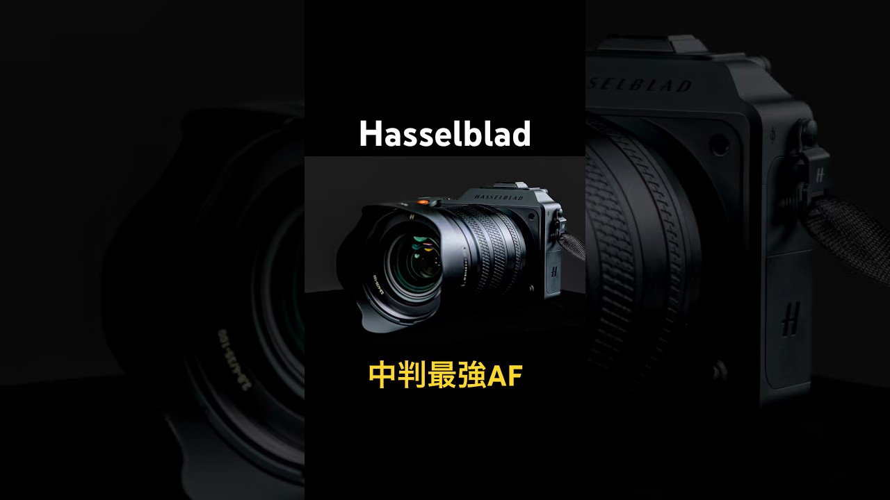 中判最強AF!X2D Ⅱ 100CのAF、想像以上✨ #スタジオぜっと #hasselblad #ハッセルブラッド #中判カメラ #カメラ