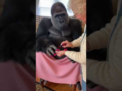 Granny loves doing makeup and polishing nails 😂 #fyp #fyp #fypシ゚viral