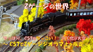 Zゲージの鉄道ジオラマ(完成品) 鉄道模型】Zゲージの世界 ～C57でZゲージジオラマ上を疾走～／やっぱり