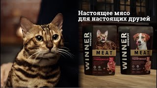 Winner Meat. Настоящее мясо для настоящих друзей