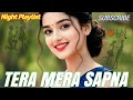 🎶2026 Tera Mera Sapna ❤ Love Bollywood Romantic Sad Song 🎧 | 90s Hindi Heart Touching Love Story