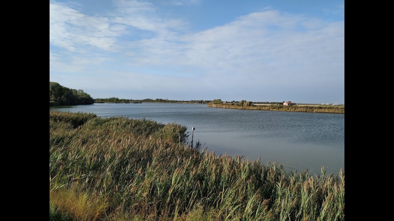 BIBIONE - OASI DI VALLEVECCHIA (VE)