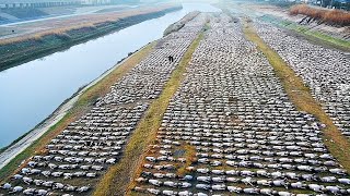 That Was Really Filmed on Camera