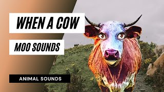 When A Cow Moo Sound - Cow Moo Sounds - The Animal Sounds How Cow Moo Sound Effect Animation